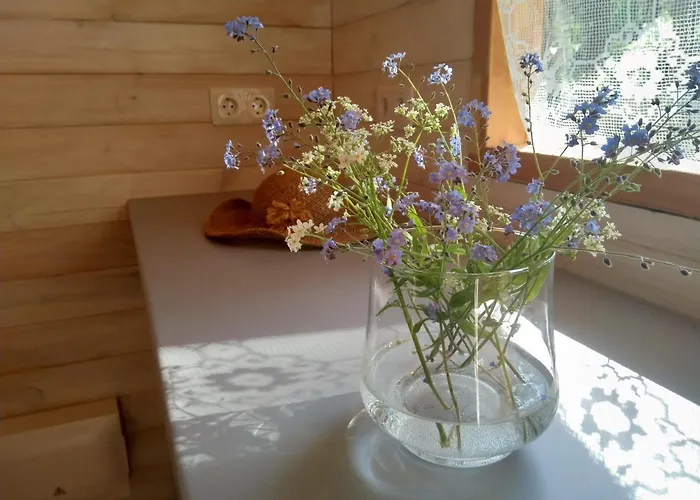 山林小屋 Lahemajutus